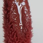 Lip gloss rimpolpante e idratante - Foto 1
